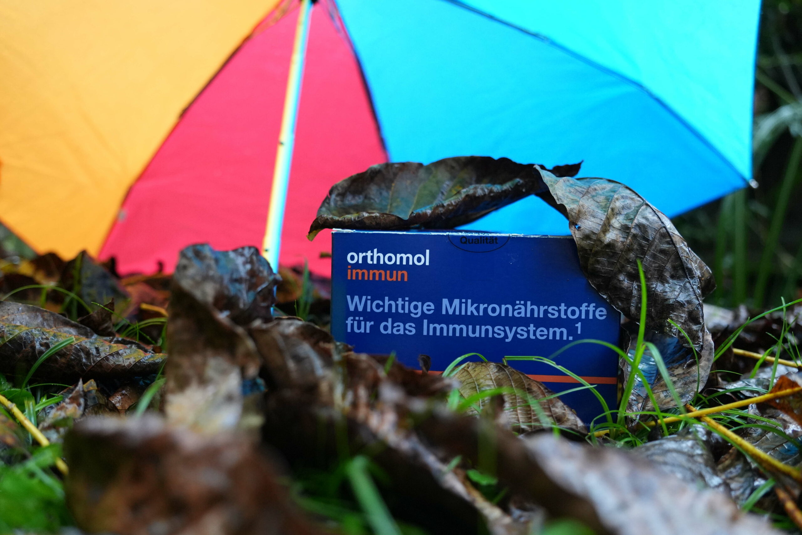 Nahrungsergänzungsmittel zur Stärkung des Immunsystems